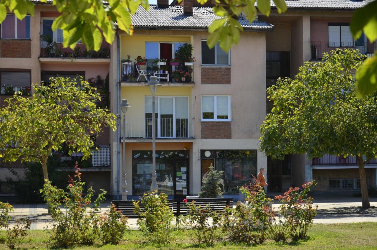 Apartman Terassa Donji Milanovac Kültér fotó