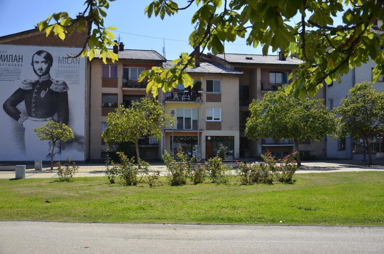 Apartman Terassa Donji Milanovac Kültér fotó