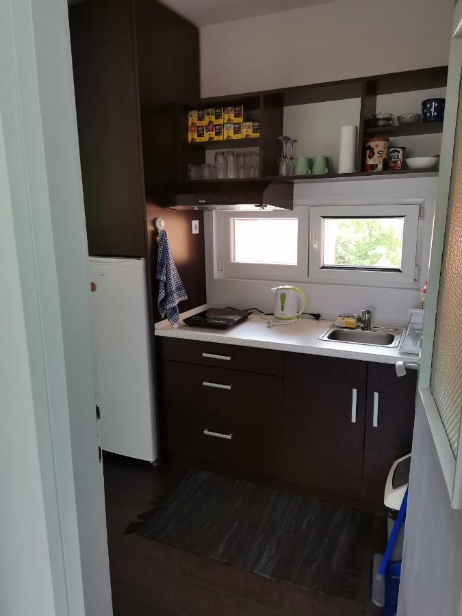 Apartman Terassa Donji Milanovac Kültér fotó