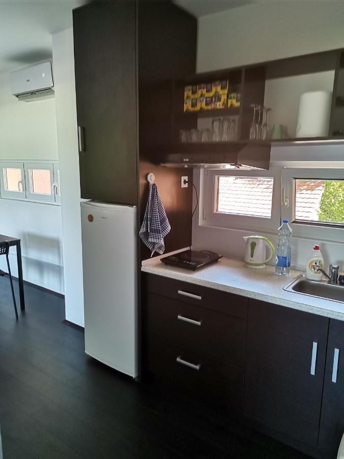 Apartman Terassa Donji Milanovac Kültér fotó