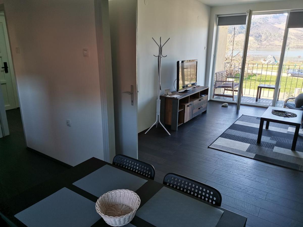 Apartman Terassa Donji Milanovac Kültér fotó