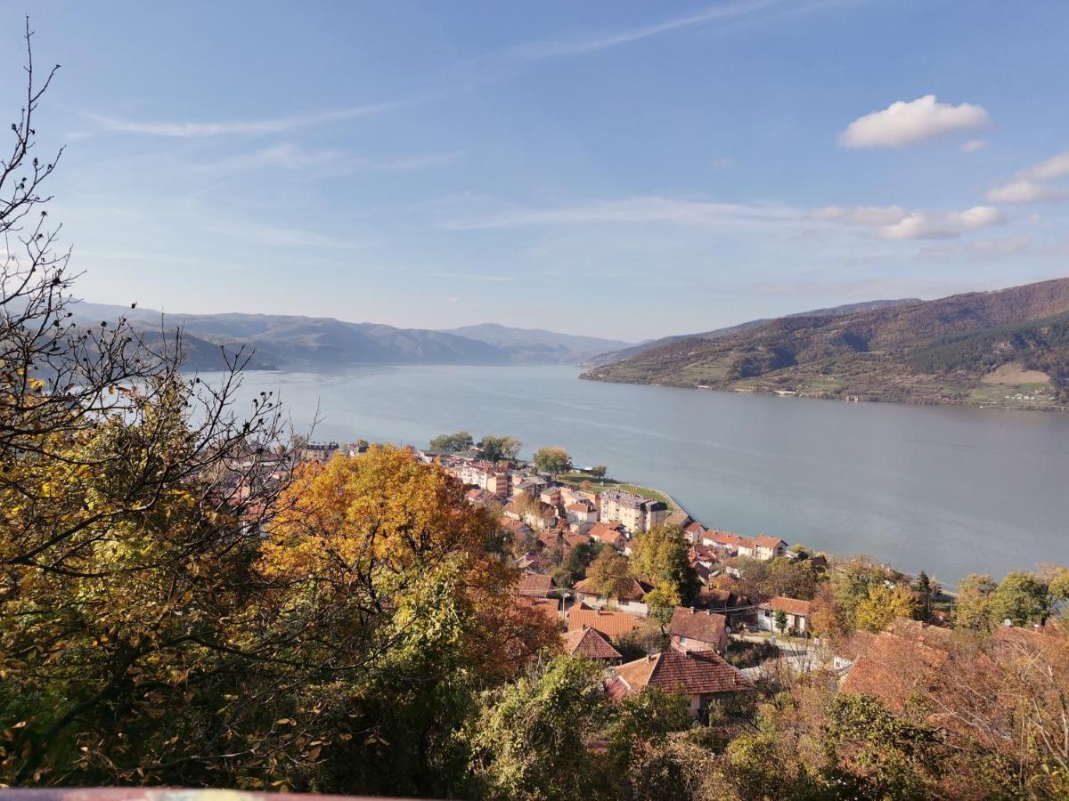 Apartman Terassa Donji Milanovac Kültér fotó