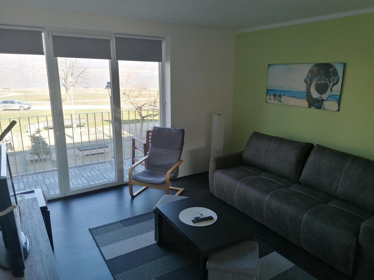 Apartman Terassa Donji Milanovac Kültér fotó