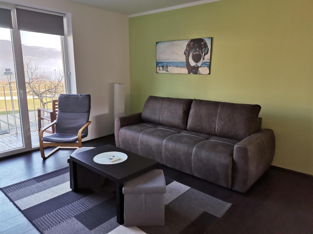 Apartman Terassa Donji Milanovac Kültér fotó