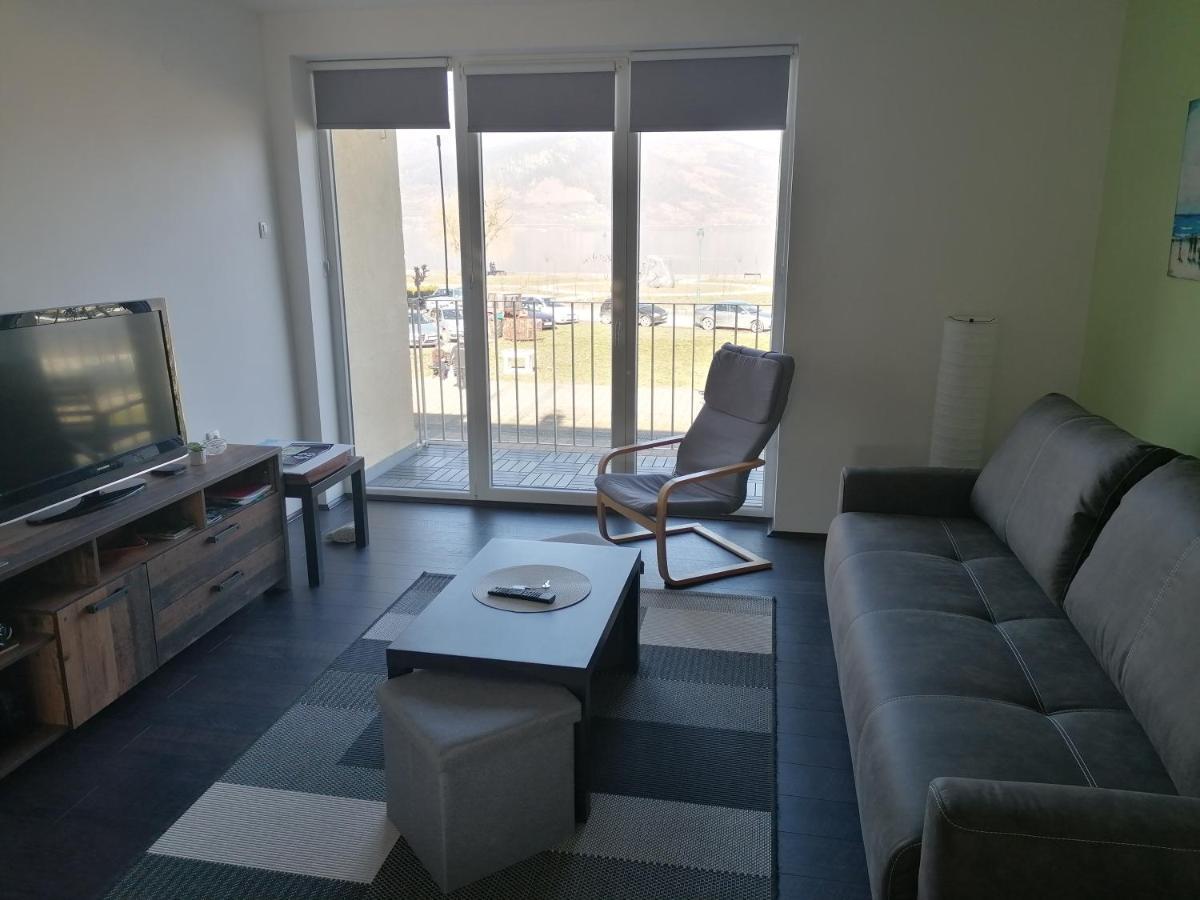 Apartman Terassa Donji Milanovac Kültér fotó